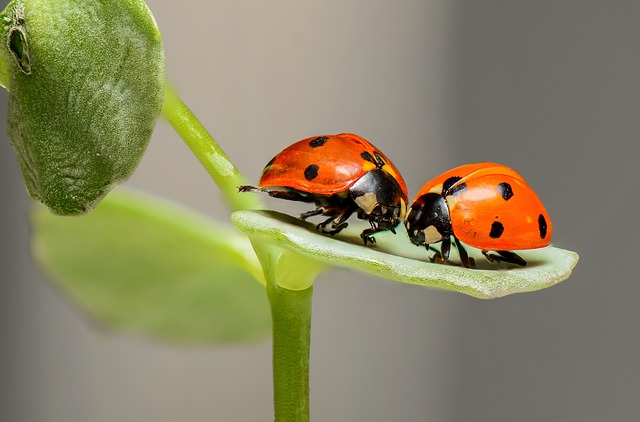 12 Regole per una coppia duratura e felice