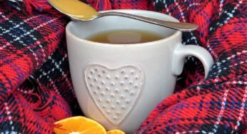 Alimenti che combattono l’influenza