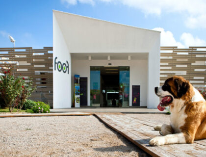 Gite sorprendenti-Foof, Museo del Cane- Ingresso