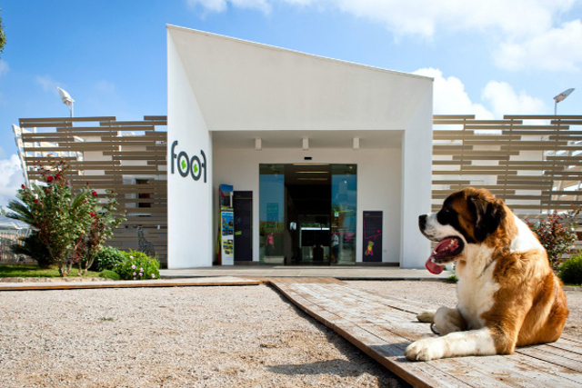 Gite sorprendenti: insoliti posti da visitare coi bambini/ FooF Il Museo del Cane