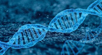 Anomalie cromosomiche La sindrome di Down (trisomia 21)